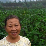 Eckhardt on the Anlong organic farming co-op in Sichuan